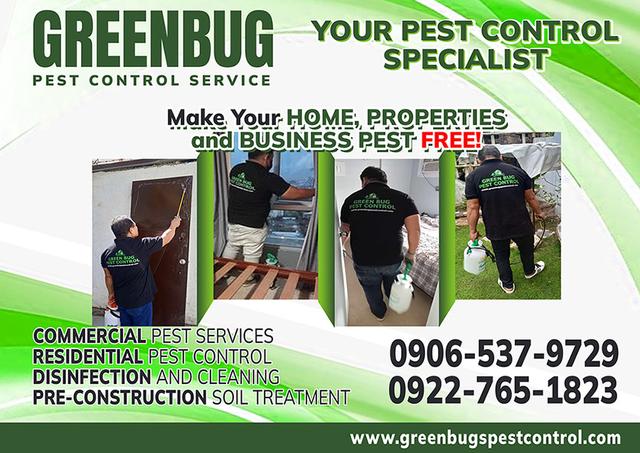 Green Bug Pest Control